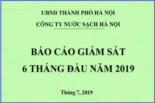 Báo cáo giám sát 6 tháng đầu năm 2019 và Báo cáo tài chính quý 2.2019 (công ty mẹ)